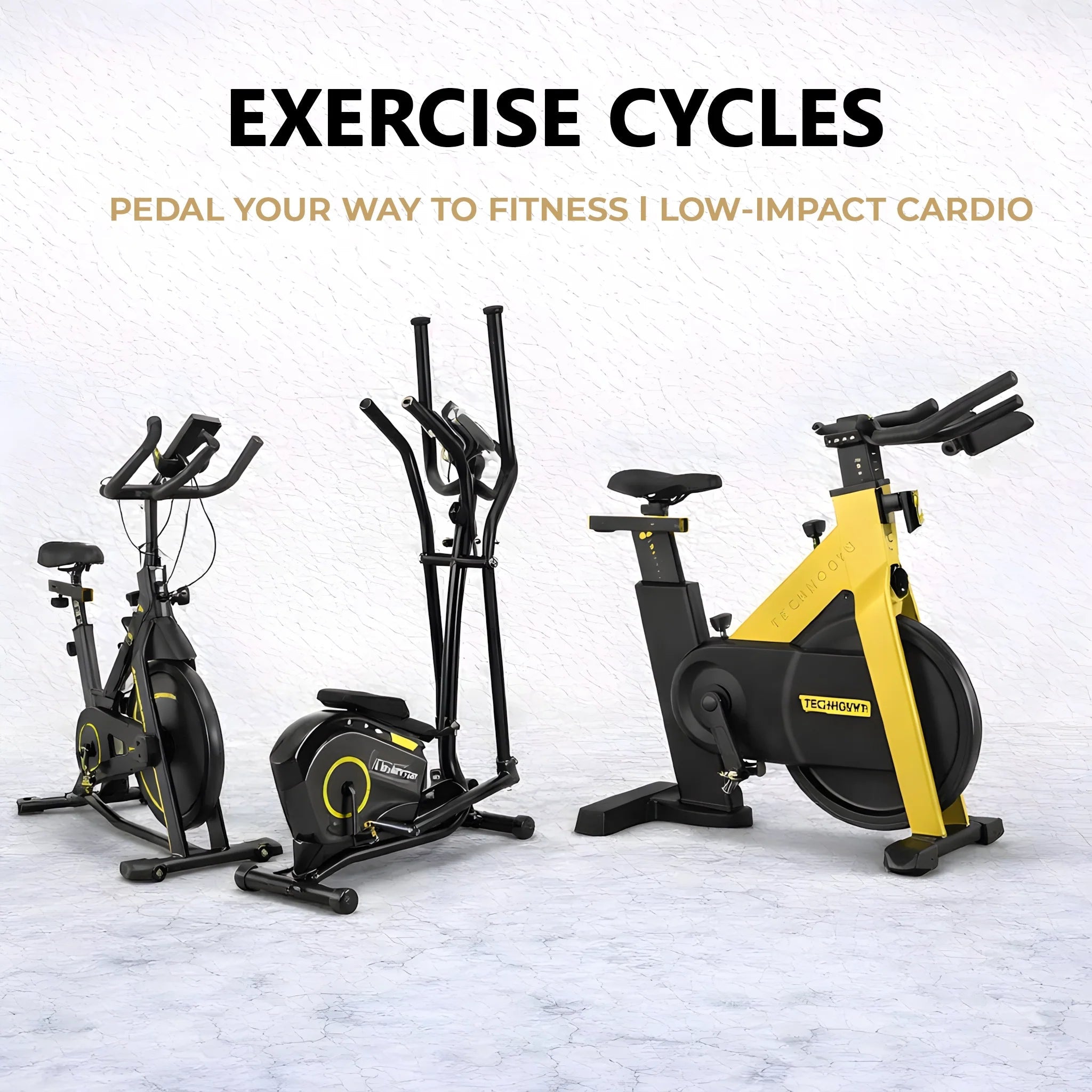 Exercise Cycle