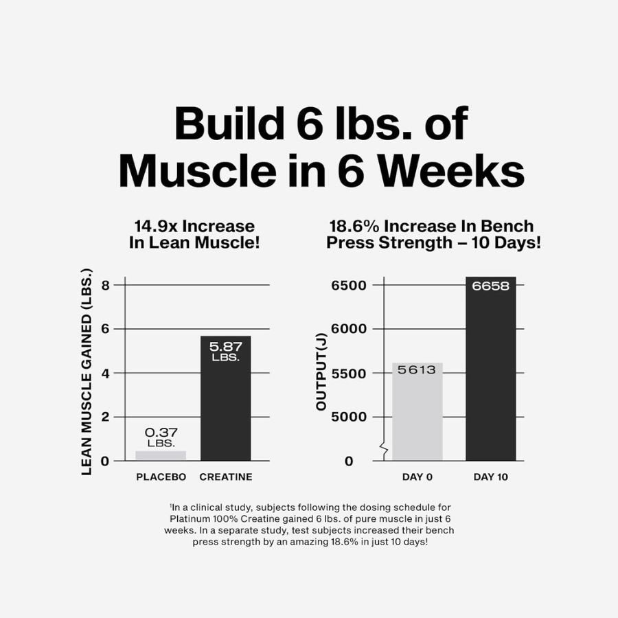 MuscleTech Platinum 100% Creatine Powder