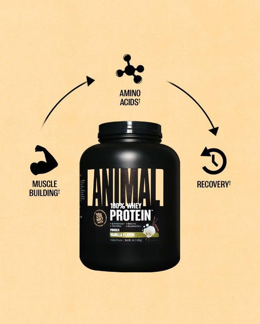Animal 100% Whey Protein Powder 4 lb 60 Serving - Vanilla