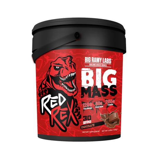 Big Ramy Labs Protein Mass Gainer 22 lbs Balti 30 Serving - Chocolate (Scope Size 4 Cup)
