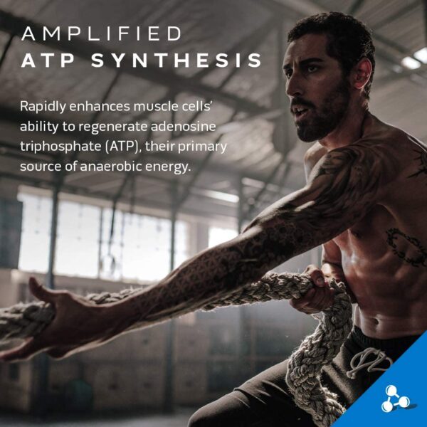 MuscleTech Cell-Tech Creactor Creatine 120 Servings