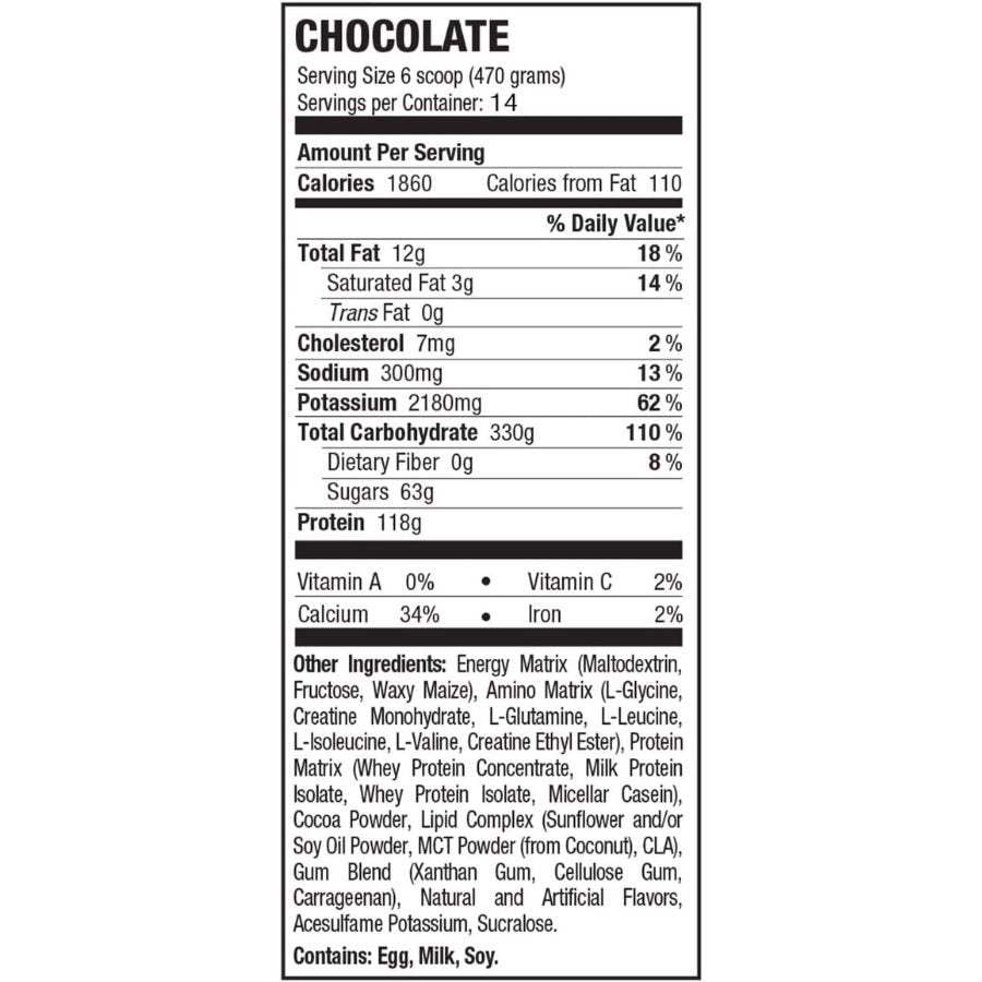 Buy Russian Bear 10,000 Weight Gainer, Chocolate — 15 Lbs 7 Kg Online at Best Price in Bangladesh