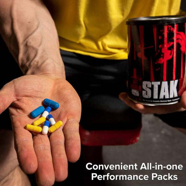 Animal Stack 21 Packs - Bodybuilding BD