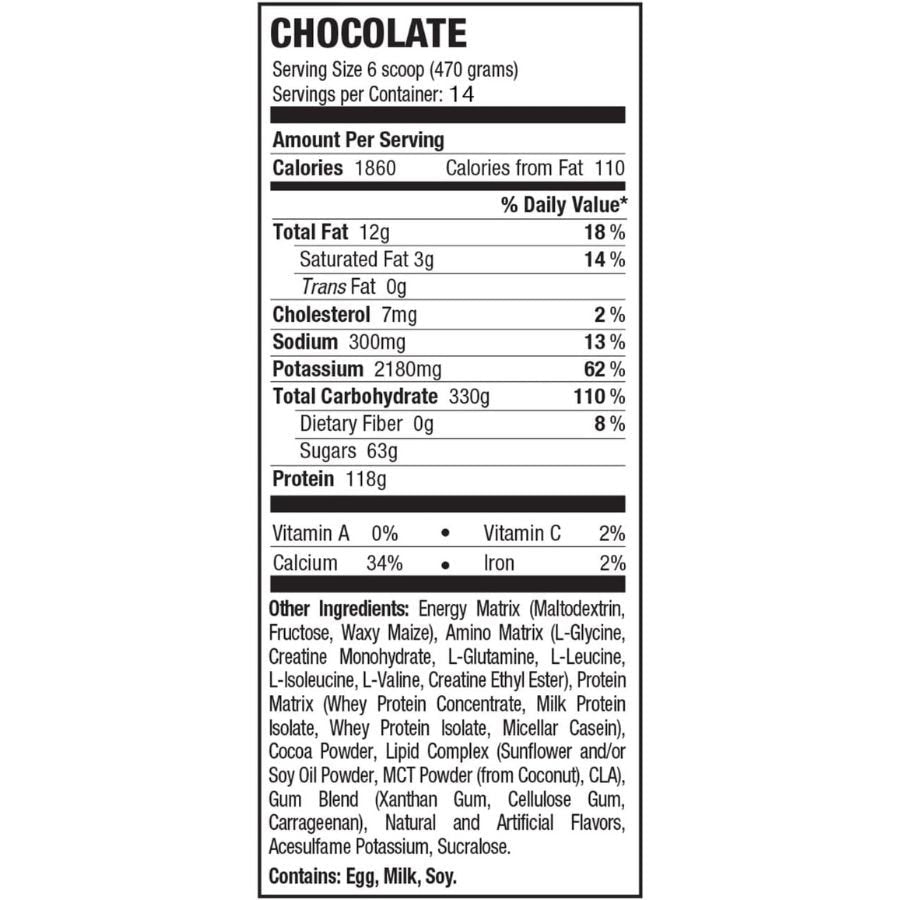 Russian Bear 10,000 Weight Gainer, Chocolate — 15 Lbs (7 Kg) - Bodybuilding BD